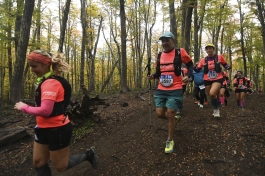 Patagonia Run 2022