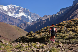 Aconcagua Ultra Trail 2023