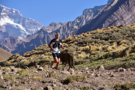 Aconcagua Ultra Trail 2023