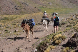 Aconcagua Ultra Trail 2023