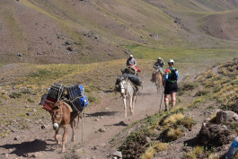 Aconcagua Ultra Trail 2023