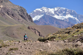 Aconcagua Ultra Trail 2023