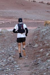 Aconcagua Ultra Trail 2023