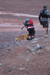 Aconcagua Ultra Trail 2023