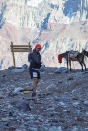 Aconcagua Ultra Trail 2023