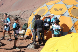 Aconcagua Ultra Trail 2023