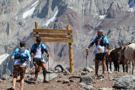 Aconcagua Ultra Trail 2023