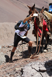 Aconcagua Ultra Trail 2023