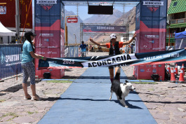 Aconcagua Ultra Trail 2023