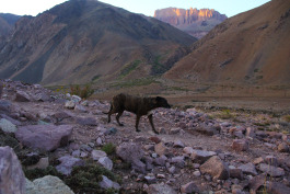 Aconcagua Ultra Trail 2023