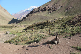 Aconcagua Ultra Trail 2023