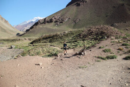 Aconcagua Ultra Trail 2023