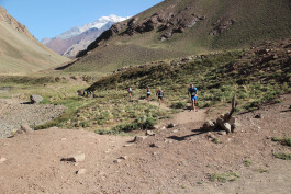 Aconcagua Ultra Trail 2023