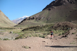 Aconcagua Ultra Trail 2023