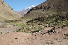 Aconcagua Ultra Trail 2023