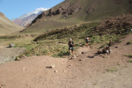 Aconcagua Ultra Trail 2023