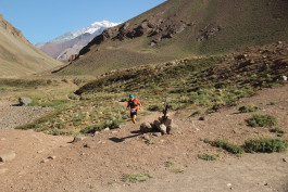 Aconcagua Ultra Trail 2023