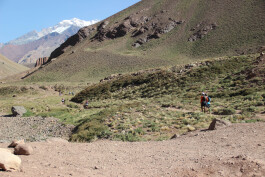 Aconcagua Ultra Trail 2023