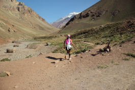 Aconcagua Ultra Trail 2023