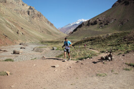 Aconcagua Ultra Trail 2023