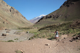 Aconcagua Ultra Trail 2023