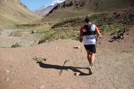 Aconcagua Ultra Trail 2023