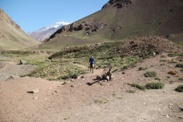 Aconcagua Ultra Trail 2023