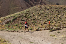 Aconcagua Ultra Trail 2023