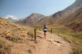 Aconcagua Ultra Trail 2023