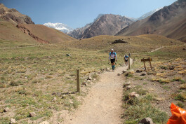 Aconcagua Ultra Trail 2023