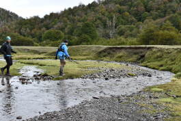 Patagonia Run 2024 - 42K